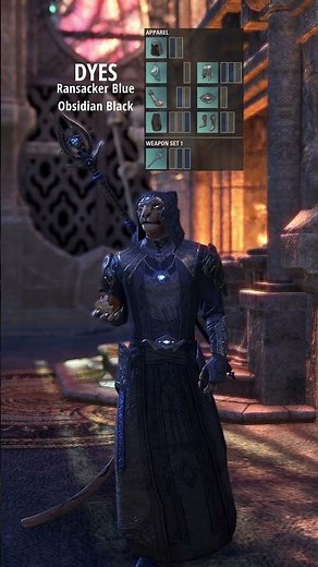 Psijic Order Fit | ESO FASHION