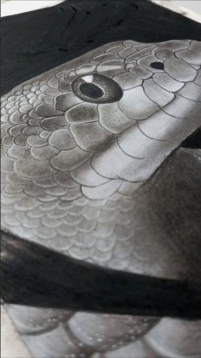 REALISTIC Snake Head Sketch Made Easy!