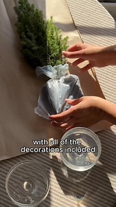 221K views · 48 reactions | Mulling over your gift list? Take £10 off your first order with code BX11 ✨ From letterbox Christmas trees. To sumptuous seasonal flowers. And Christmas hampers from British brands. Make someone positively glow. | Bloom & Wild | Facebook