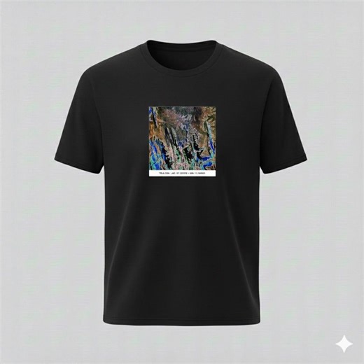 Graphic Tee Shirt 1-of-1 Google Maps Glitch Minimalist Abstract Generative Art Satellite Imagery Javascript - Etsy