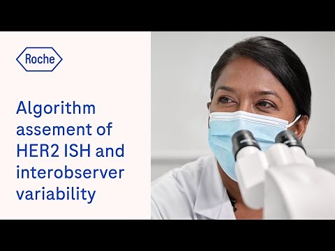 Algorithm-assisted assement of HER2 ISH to reduce interobserver variability