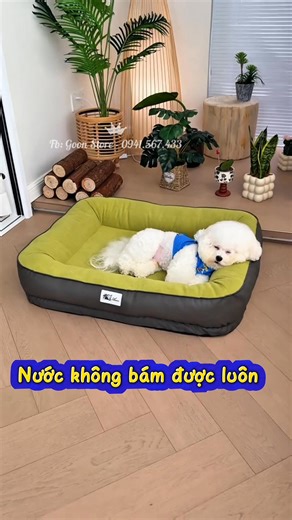 595 reactions · 14 shares | Goon Store on Reels | Facebook