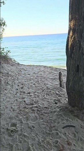 From our trip last week to Indiana Dunes State Park, Mt. Baldy