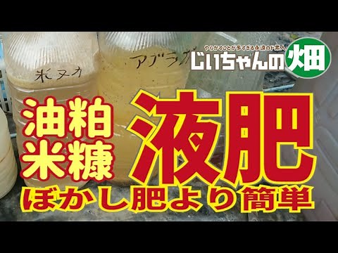 油粕液肥の作り方と使い方。油粕と水だけで窒素液肥を作る。菜園でも園芸でも使える即効液肥は、ぼかし肥作りより簡単に作れます。9/22