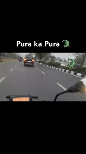 Pura Ka Pura Crocodile 🐊 He #shorts #shortsfeed #motovlog #travel