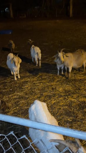 I talked to the them for like 4 mins (had to cut it cause that’s between me and them) they’re great listeners ✌🏾