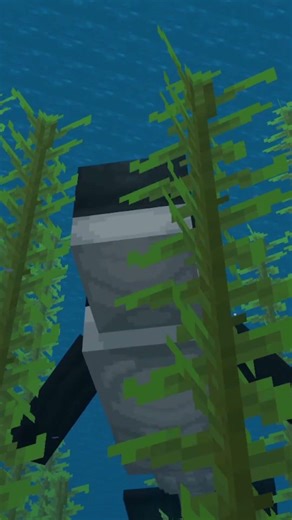 Orca In Minecraft Bedrock! (Minecraft Marketplace)