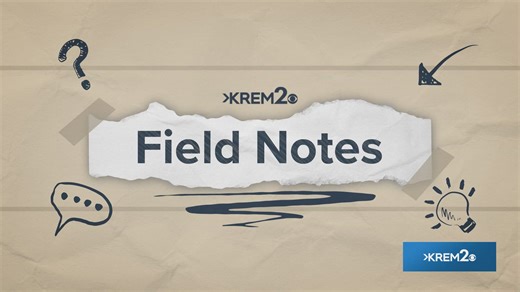 Field Notes: June 4, 2025