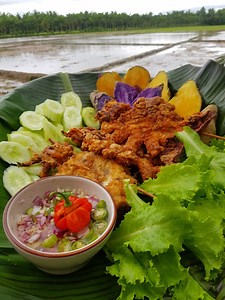 1.1M views · 14K reactions | Giant butterfly Squid Recipe Mama Frau's Country Life Vlog at Willems Farm #squid #giantsquid #mamafrauscooking #pusit | Mama Frau's Country Life Vlog | Facebook