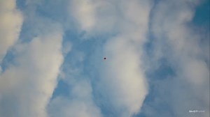 51K views · 649 reactions | Hunting shot #reelsfypシ #2023challenge #slowmotion #hunting #hoghunting #virals #Hunter #huntingseason | Hunting Lovers | Facebook