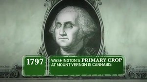 A Brief History of Weed