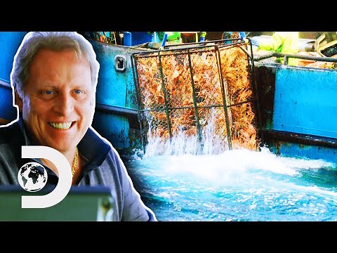 Captains Set Their Differences Aside To Save The Season | Deadliest Catch