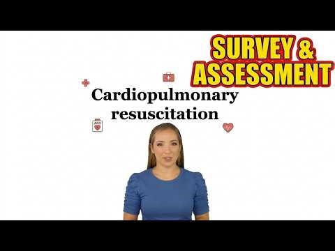 First Aid Essentials: How to Conduct a Primary Survey (Step-by-Step)