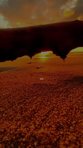 Echo Music Pipeline on TikTok