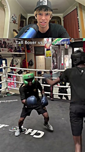 Tall Boxer vs Short Boxer