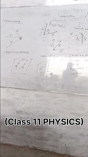 Class 11 Physics(Vector) By Seminary classes