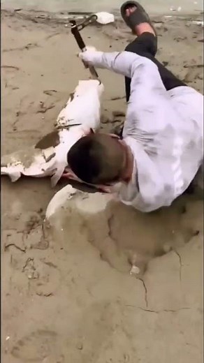 When Fishing Goes Hilariously Wrong! 🎣😂 #FunnyShorts