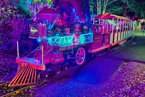 6 Places to See Christmas Lights in Vancouver