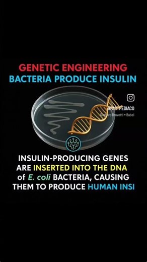 Bacteria: produce human Insulin #futurescience #scienceexplained #shorts