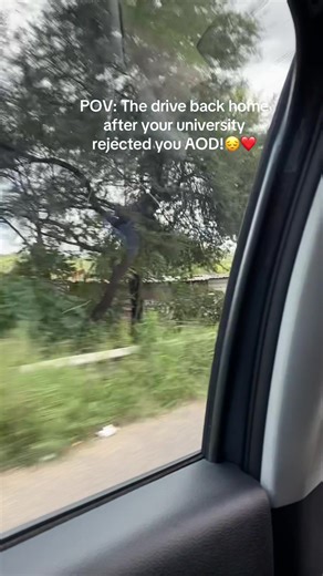 Coping with University Rejection: A Personal Journey