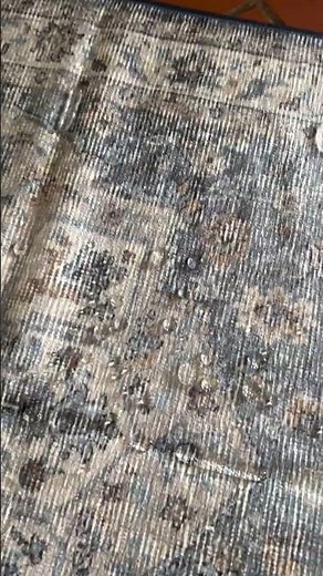 Best Machine Washable Rug: Tumble Rug Review