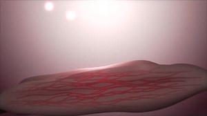 Refreshing connective tissue fibers