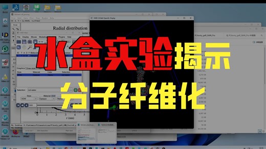 26 药物分子自组装纤维化模拟和分析 GROMACS