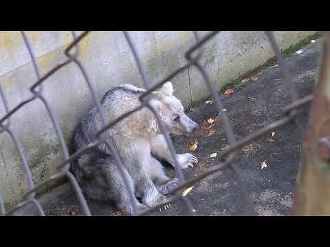 芦野児童動物園 #芦野公園 #青森県 #五所川原市