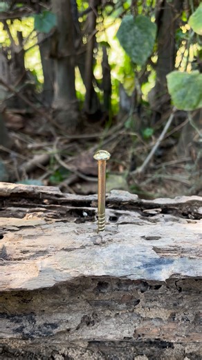 Rope Master on Reels