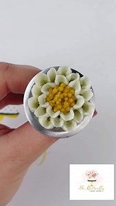 Have you tried the Ateco 143 tip yet? I love it. It’s a wide chrysanthemum tip and it’s so much easier to use than the small ones 🥰. Available to purchase on our online shop. We ship worldwide ♥️ #cupcakequeen #buttercreamcupcakes #cupcakebouquet #floralpiping #cupcakebouquetsofinstagram #buttercreamflowers #cupcakeart #cupcakesofinstagram #cakedecorating #floralcake #cupcakes #cupcakedesign #cakeart #flowerpiping #cakedesign #cupcakeoftheday #cupcake #cakeideas #cakelove #cakedecorator #cupcak