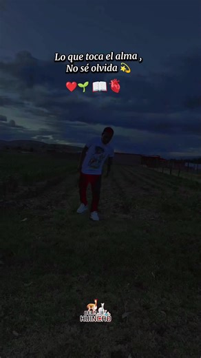 Exploring Beautiful Landscapes and Nature Videos