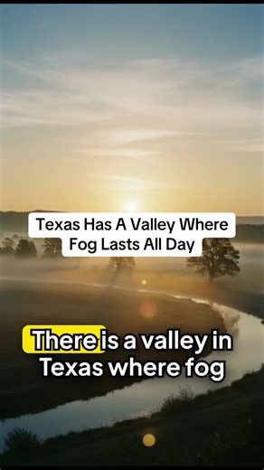 Texas Has A Valley Where Fog Lasts All Day Big Thicket Texas Texas fog Texas valleys Texas weather Texas forests Texas geography Texas nature #TexasUncovered #TexasFacts #TexasNature #TexasWeather #TexasGeography