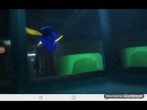 Finding Dory (2016) Dory & Hank at the Tank this Marine Life Institute 🎥