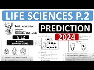 2024 LIFE SCIENCES P.2 PREDICTION GRADE 12 LIFE SCIENCES EXAM 2024 PAPER 2 GRADE 12 THUNDEREDUC