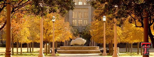 Texas Tech University Admissions 2025: Deadlines, Acceptance Rate and Selection Criteria