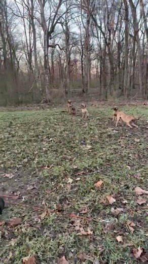 Look at ole Charger chewing the cable. You think he’s ready to roll? It’s what they live for.