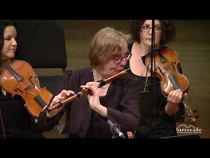 Telemann concerto for Flute, Recorder and strings in e minor