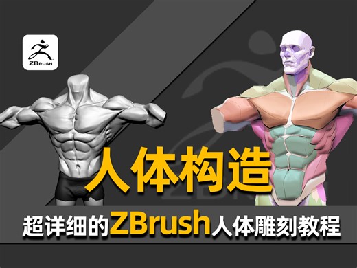 【ZBrush人体雕刻】想学ZB先学人体，全网最详细的ZB人体雕刻教程！