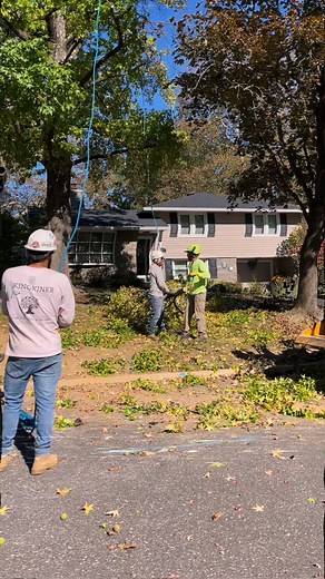 You wouldn’t believe how different this yard looks now — one clean takedown, one hard-working crew, one happy customer💯 | Kingkiner Tree Service