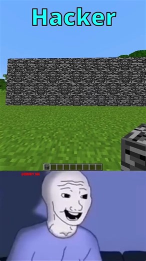 POV it's 2019 and you used to watch these types of videos 😭 #minecraft