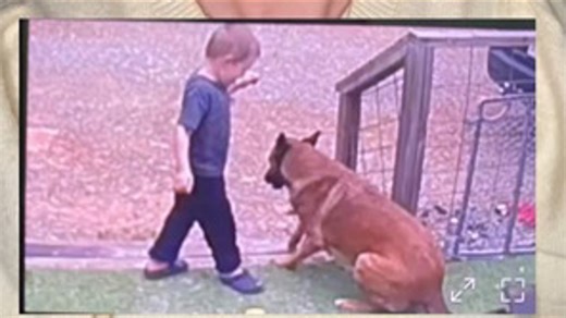 3-year-old and dog missing in Upson County