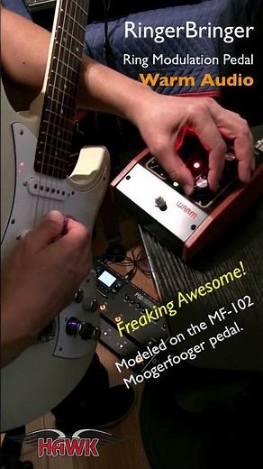 Warm Audio RingerBringer - Moogfooger Clone Sounds Great!