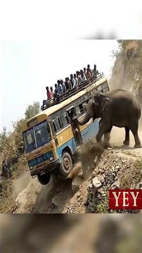Elephant Sends Entire Bus Down a Cliffside Road #ElephantAttack #AI #YesEpicYes #Animals