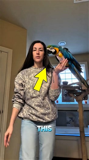 Genius Parrot Solves Math in Seconds! 🦜