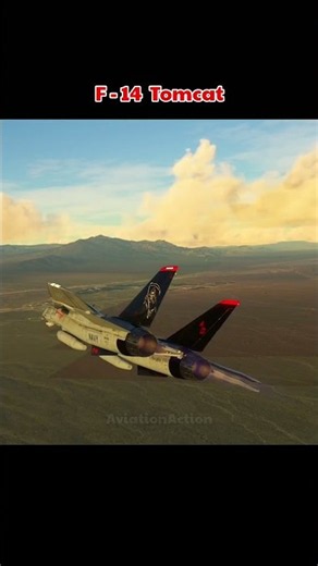 Why the F-14 Tomcat is still a legend #aviation #fighterjet #f14