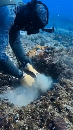 #factsonly #factsdaily #facts #factsyoudidntknow #factsoflife | Fact sheet