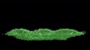 Grass Slow Wind Loop 4K