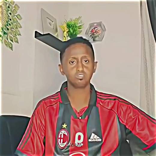 Ninkaan Harqaan Funny Video
