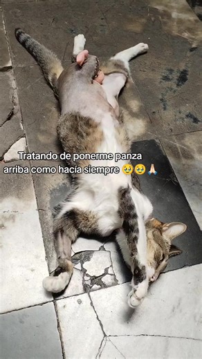 Recuperación y Solidaridad en Momentos Difíciles