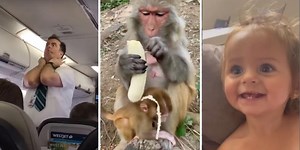 10 things that made us smile this week